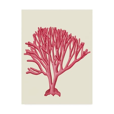 Fab Funky 'Red Corals 1 C' Canvas Art,14x19